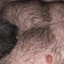 HardBeard