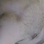 Femtio