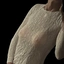 CDSkane