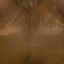 Envanligkille123