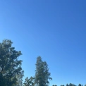 Steffborlänge