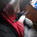 Sugenochslampig