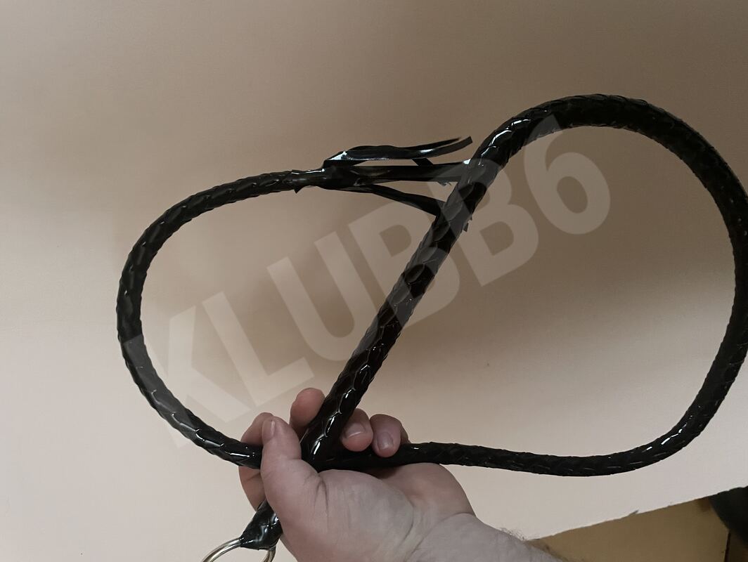 gagnef5220562