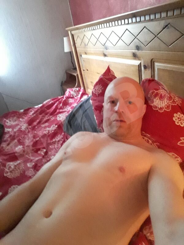 Assmanlikebabes5942238