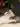 MisterSkaegg