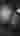 Orectic88