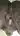 Blacktightpussy