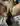 Linnea771