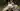 Annons (8833210) - Marta155 4