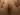 Aldrignojd2