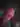 Magnus64