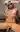 Annons (8776315) - AmyPark 3