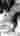 Orectic88