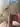 download (3).jpeg