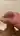 omegan