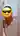 Diskretman77