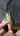 Zign98