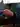 Domane