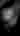 Orectic88