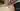 Advertisement (8257742) - EroticDreams 2