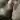 Linnea771