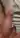 Tjaelle