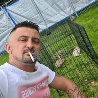 Cipiripi84