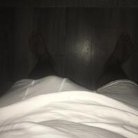 Willydomi