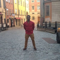 Afrikanskmamba