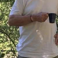 FarbrorFjong