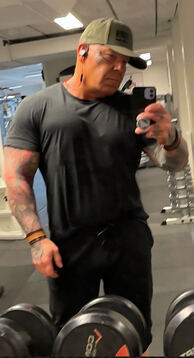 Björnen